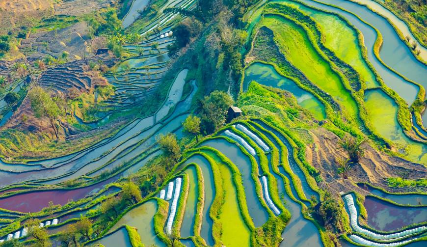 走进黄埔区TVC拍摄：解锁本地化场景与创意镜头的完美融合
